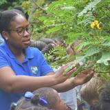 Beacon Hill School Photo #6 - Nature Day