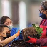 Priest Lake Christian Academy Photo #7 - Hands-on plant science.