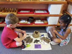 Cypresswood Montessori School Photo