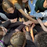 Millennium School Of San Francisco Photo #14 - All hands in during one our Wilderness Days led by our outdoor education partners, Eco Experience!
