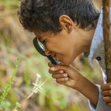 Terra Marin School Photo #4 - Students learn from their environment outdoors with observational, real-life activities.