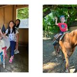 All-Star Academy Photo #11 - Equine Therapy