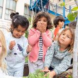 Lycee Francais de San Francisco LFSF Photo #3 - Main subjects, from science to writing / reading, are introduced in preschool and revisited, year after year, each time more in depth.