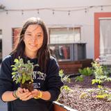 Lycee Francais de San Francisco LFSF Photo #15 - A student is working in the student-built aquaponic system : a system in which plants and koi fish feed each other.