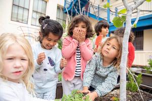 Lycee Francais de San Francisco Photo