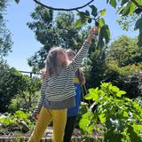 Lycee Francais de San Francisco LFSF Photo #14 - Time outside, working in the garden, has many benefits for students of all ages!