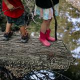 River Farm Forest School Photo - The best classrooms don't always have four walls. River Farm Forest School Photo - The best classrooms don't always have four walls.