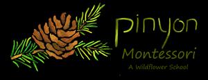 Pinyon Montessori Photo
