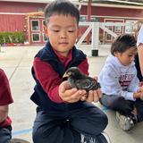 Stratford School Laguna Niguel Photo
