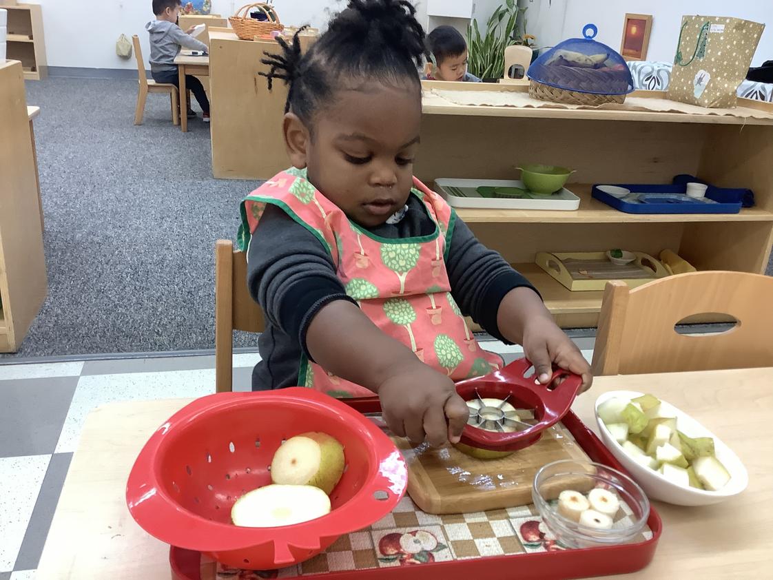 LePort Montessori School Huntington Harbor Photo #3