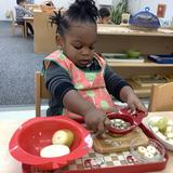 LePort Montessori School Huntington Harbor Photo