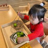Evergreen Academy Montessori Mountlake Terrace Photo #4