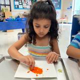 Merryhill School - Roseville Preschool Photo #12