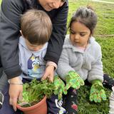 Merryhill School - Rocklin Photo