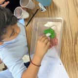 The St. Sophia School Photo #2