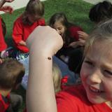 Chesterbrook Academy Preschool Cary Photo #9