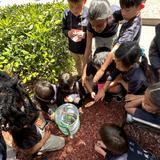 Merryhill Elementary San Jose Photo #6