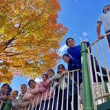 Little Lotus Academy Photo #11 - Recess