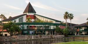 Community School Of Naples Photo Community School Of Naples Photo