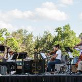 Community School Of Naples Photo #4 - The Upper School orchestra performs at CSN's Spring Family Picnic.