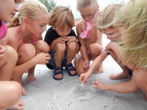 Montessori By The Sea Photo Montessori By The Sea Photo