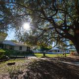 Newgate School Photo - Ashton Campus (Infants through Elementary programs)