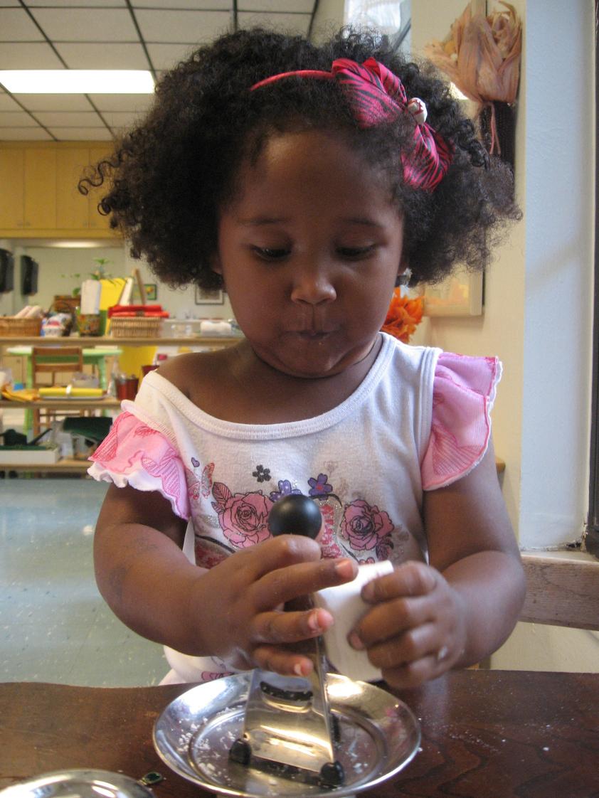 Palm Harbor Montessori Academy Photo - Child doing a Practical Life Activity