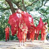 The Waldorf School of Tampa Bay Photo #19