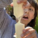 The Waldorf School of Tampa Bay Photo #17