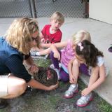 Sun Grove Montessori School Photo #2 - Learning about the mother hen.