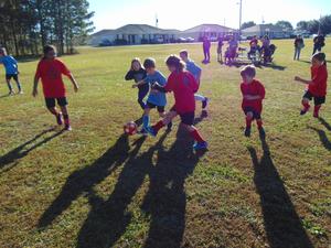 Bible Baptist Christian Academy Photo