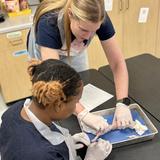 Curtis Baptist School (K3-12) Photo #4 - Hands on learning during biology class.