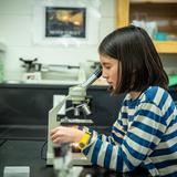 Baker Demonstration School Photo #19 - Baker cultivates scientists in our impressive science lab including partnering with Northwestern exploring cutting edge technology.