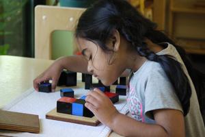 Brickton Montessori School Photo