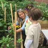 Chiaravalle Montessori Photo #2 - Early Childhood students cultivate herbs and vegetables in the Learning Garden. Chiaravalle was honored to be recognized as a 2017 U.S. Department of Education Green Ribbon School for its commitment to environmental education and energy efficiency.