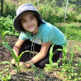 Council Oak Montessori School Photo - Outdoor classroom work.