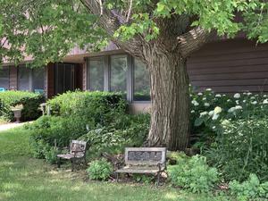 Crystal Lake Montessori School Photo