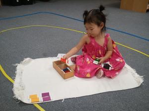 Montessori School Of Champaign-urbana Photo