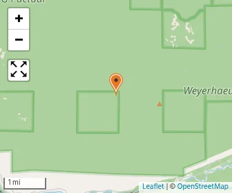 Map of St. Francis Of Assisi School