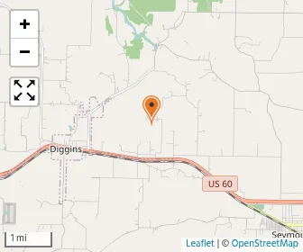 Map of Webster County Parochial #10